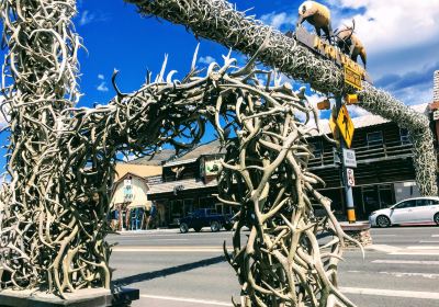 World's Largest Elkhorn Arch