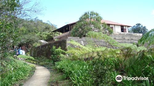 La Isabelica Museum