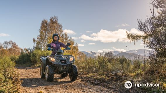 Quad Bike Treks, Rothiemurchus Aviemore