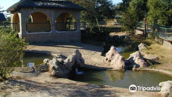 Livingstone Crocodile Park