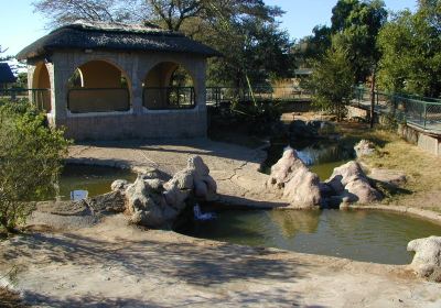 Livingstone Crocodile Park