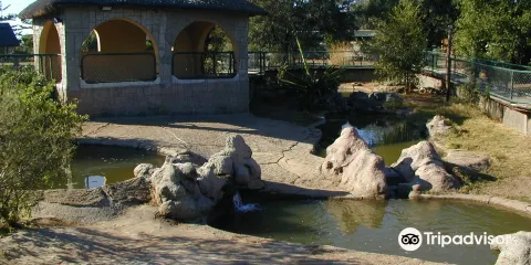 Livingstone Reptile Park