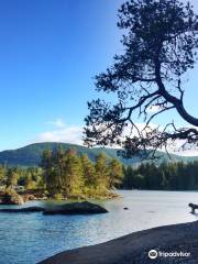 Cowichan River Provincial Park