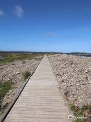 parc provincial Dominion Beach