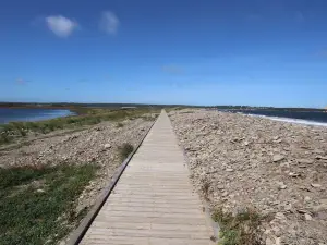 parc provincial Dominion Beach