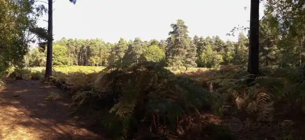 Hotel a Crowthorne