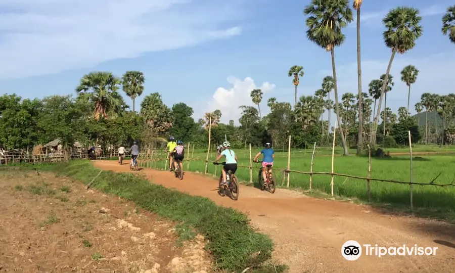 Cambodia Cycling