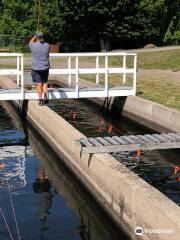 Fraser's Mills Fish Hatchery