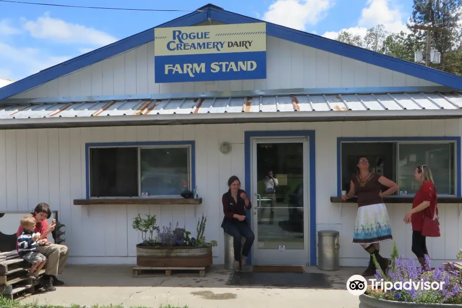 Rogue Creamery Dairy Farm