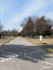 Wajiyama Park