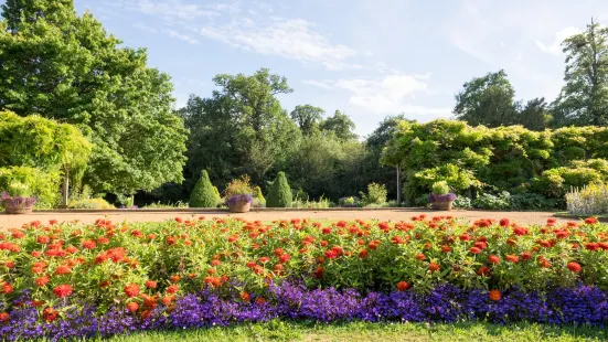 Hylands Park