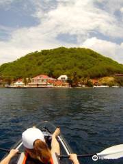 Clear Blue Caraibes