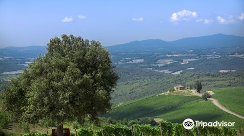 Castiglion del Bosco