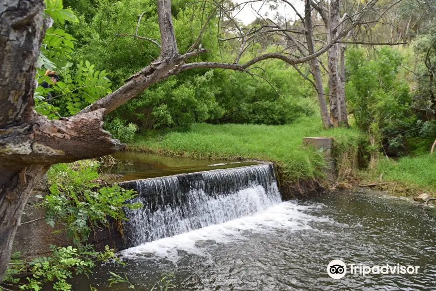 Brownhill Creek Recreation Park