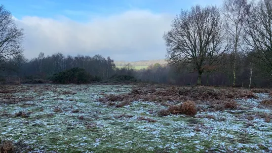 National Trust - Headley Heath