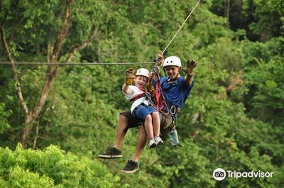Canopy Vista Los Suenos