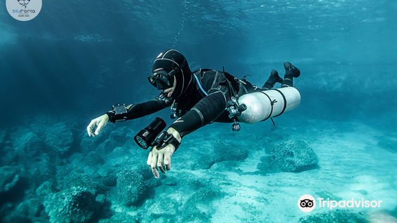 Bluforia Diving Center