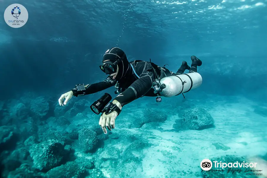 Bluforia Diving Center