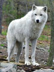 Lakota Wolf Preserve