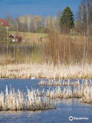 Siikalahti Wetland