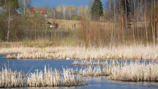 Siikalahti Wetland