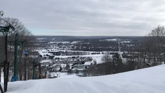 Zipline Adventure at Boyne Mountain