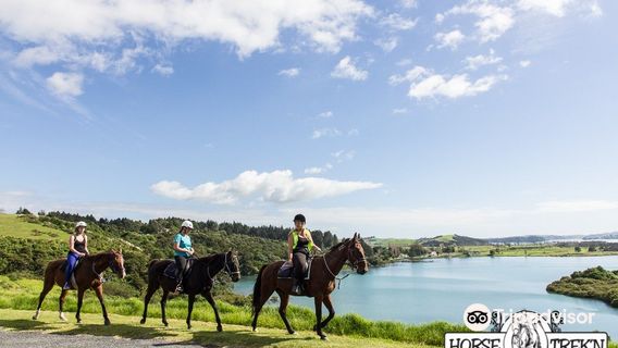 Horse Trek'n