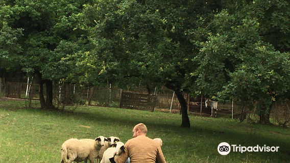 Aux Prés Des Bêtes