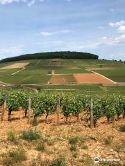 Chemins de Bourgogne