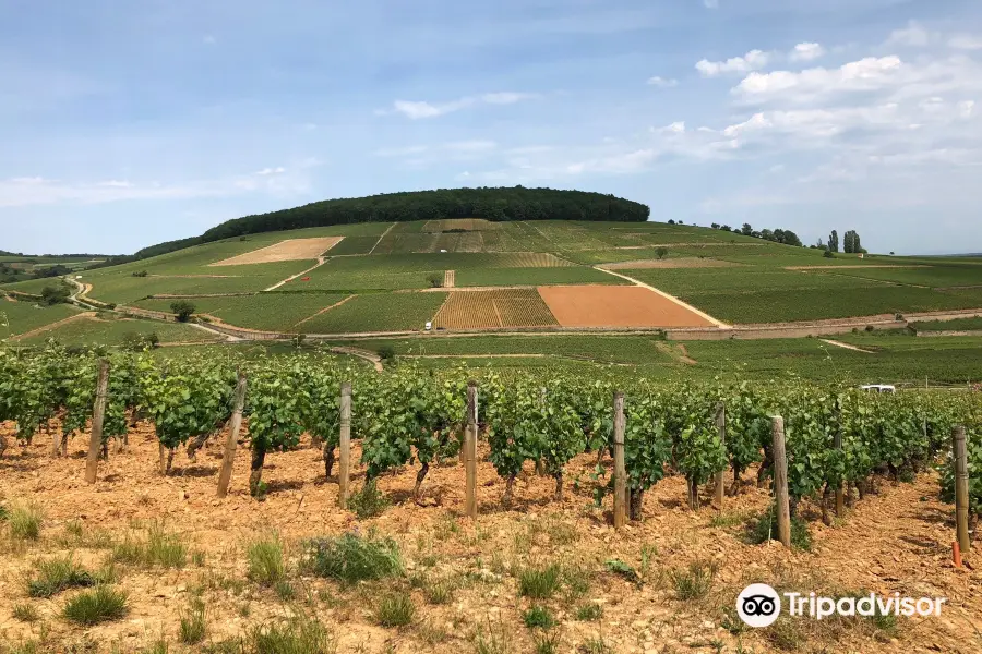 Chemins de Bourgogne