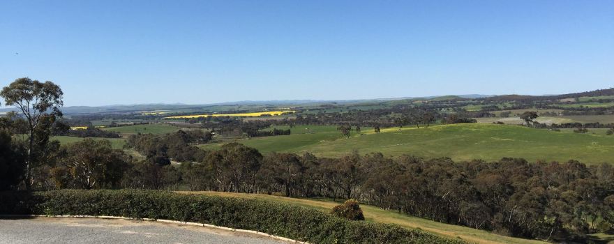 Paulett Wines