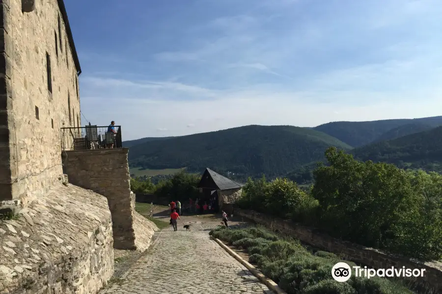 Burg Greifenstein