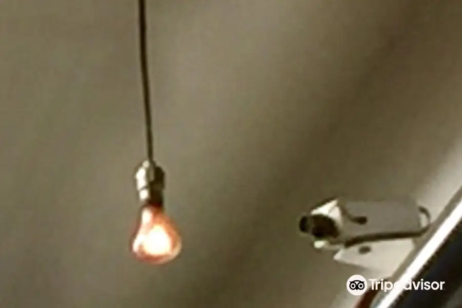 Centennial Light Bulb