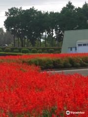 Ariakenomori Flower Park