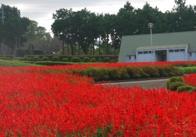 Ariakenomori Flowerpark