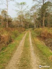 Orang National Park