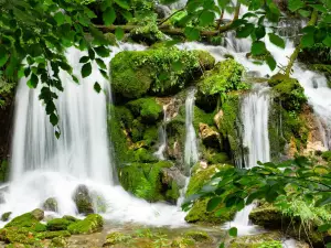 Barenschutzklamm