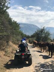 Quad Excursions Cefalù - Escursioni in quad