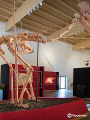 Dinosaurier Museum Altmuhltal