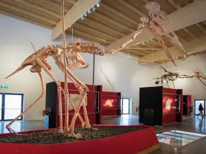 Dinosaurier Museum Altmuhltal