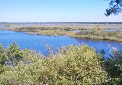 Réserve Naturelle de l'Etang de Cousseau