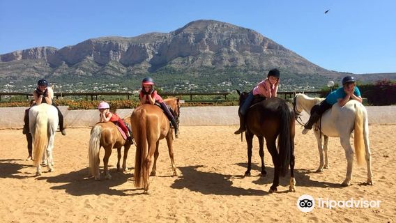 Centro Hípico Jávea