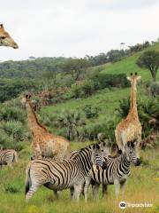 Amatikulu Nature Reserve