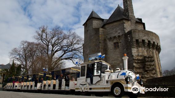 PETITS TRAINS TOURISTIQUES LE BAYON VANNES