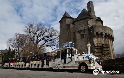 PETITS TRAINS TOURISTIQUES LE BAYON VANNES