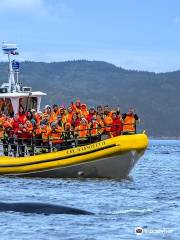 Croisières AML ­Tadoussac Billetterie