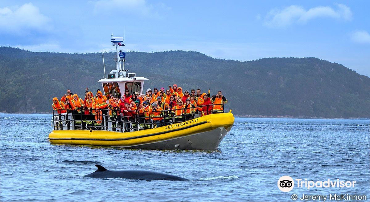 Croisières AML