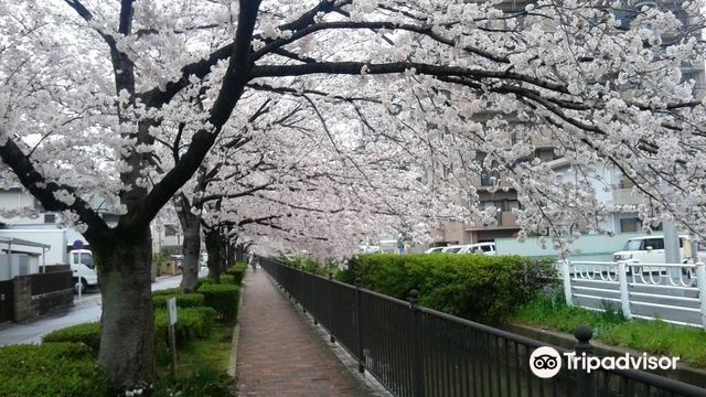 Hotels near Shonai Canal