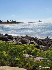 Playa de Zahora