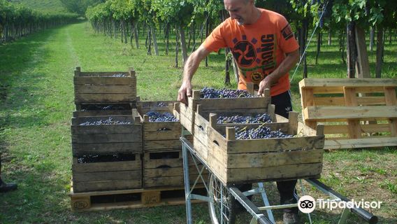 Marano di Valpolicella
